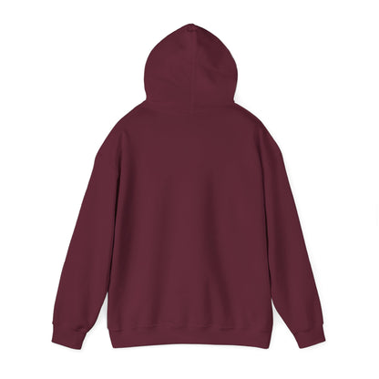 Volcano Skatin' HOODIE
